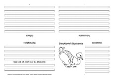 Stockente-Faltbuch-vierseitig-3.pdf